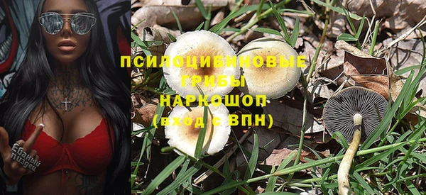 молекула духа Козельск